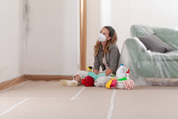 Reliable Hvac And Air Duct Mold Remediation contractor in Saddle Brook, NJ by 24 Hour Mold Removal